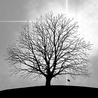 Servietten 33x33 cm - Tree