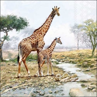 Servietten 33x33 cm - Giraffes