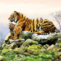 Servietten 33x33 cm - Tigers