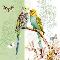 Servietten 33x33 cm - Budgies Green