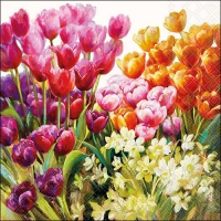 Servietten 33x33 cm - Tulips