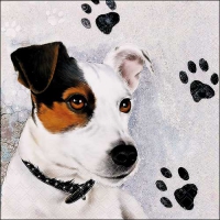 Servietten 33x33 cm - Jack Russel Servietten 33x33 cm - Jack Russel