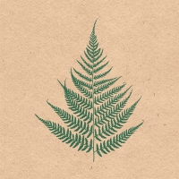 Servietten 33x33 cm - Recycled Fern Leaf Servietten 33x33 cm - Recycled Fern Leaf