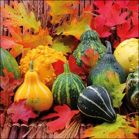 Servietten 33x33 cm - Pumpkins And Leaves Servietten 33x33 cm - Pumpkins And Leaves