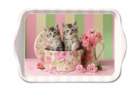 Tablett - Cats in Box