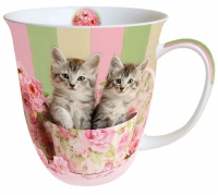 Porzellan-Tasse - Cats in Box