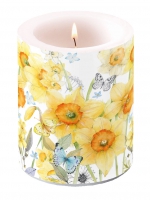 Dekorkerze - Classic Daffodils