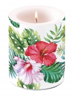 Dekorkerze - Hibiscus Floral White