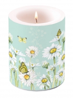 Dekorkerze - Daisy Green