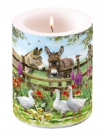 Dekorkerze - Meeting Point