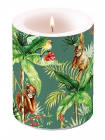 Dekorkerze - Orangutan Green