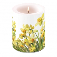 Dekorkerze - Golden Daffodils
