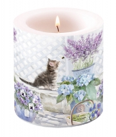 Dekorkerze klein - Kitten
