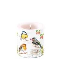 Dekorkerze klein - Birds On Twig