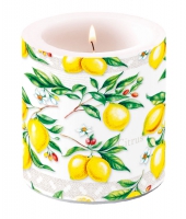 Dekorkerze klein - Citrus