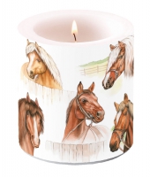 Dekorkerze klein - Horse Range