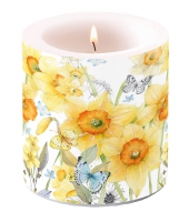 Dekorkerze klein - Classic Daffodils