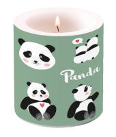 Dekorkerze klein - Panda Bears