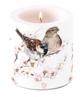 Dekorkerze klein - Sparrows Blossom