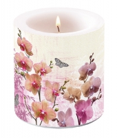 Dekorkerze klein - Orchids Orient