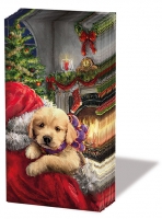 Taschentücher - Puppy At Fire