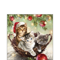Servietten 25x25 cm - Cats In Basket Servietten 25x25 cm - Cats In Basket