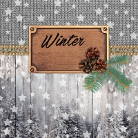 Servietten 25x25 cm - Winter