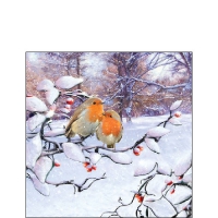 Servietten 25x25 cm - Robins On Branch Servietten 25x25 cm - Robins On Branch
