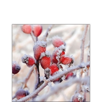 Servietten 25x25 cm - Frozen Rosehips