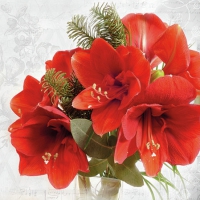 Servietten 25x25 cm - Amaryllis Servietten 25x25 cm - Amaryllis