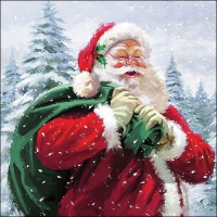 Servietten 33x33 cm - Ho Ho Ho! Servietten 33x33 cm - Ho Ho Ho!