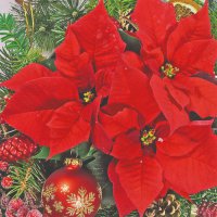 Servietten 33x33 cm - Red Poinsettia Servietten 33x33 cm - Red Poinsettia