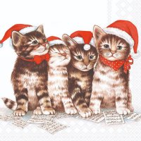 Servietten 33x33 cm - Singing Cats Servietten 33x33 cm - Singing Cats