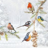 Servietten 33x33 cm - All Together Servietten 33x33 cm - All Together