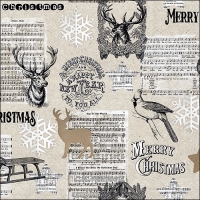 Servietten 33x33 cm - Joy The World Servietten 33x33 cm - Joy The World