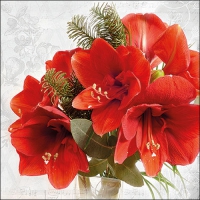 Servietten 33x33 cm - Amaryllis Servietten 33x33 cm - Amaryllis