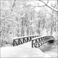 Servietten 33x33 cm - Snow Bridge Servietten 33x33 cm - Snow Bridge