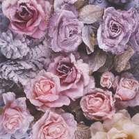 Servietten 33x33 cm - Winter Roses Servietten 33x33 cm - Winter Roses