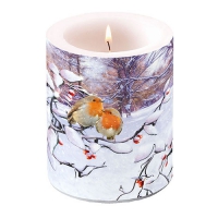 Dekorkerze - Robins On Branch