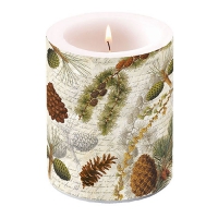 Dekorkerze - Life In Forest