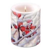 Dekorkerze - Frozen Rosehips