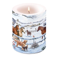 Dekorkerze - Appointment