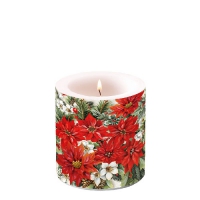 Dekorkerze klein -  Poinsettia All Over