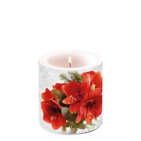Dekorkerze klein - Amaryllis Dekorkerze klein - Amaryllis