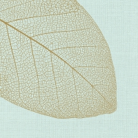 Servietten 33x33 cm - Apart, mint