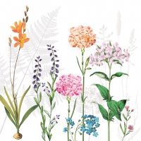 Servietten 25x25 cm - Botanica 