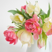 Servietten 25x25 cm - Tulip Romance 