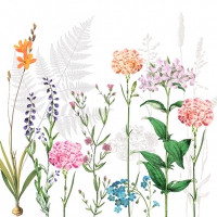 Servietten 33x33 cm - Botanica 