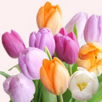 Servietten 33x33 cm - Fresh Tulips 