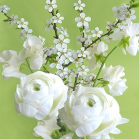 Servietten 33x33 cm - Green Spring